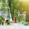Herbal Extracts